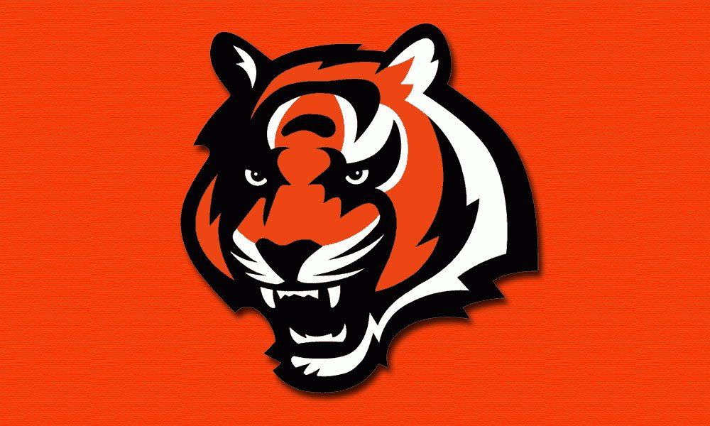 Fantasy Football Summer Sleeper: Cincinnati Bengals - Josh Malone