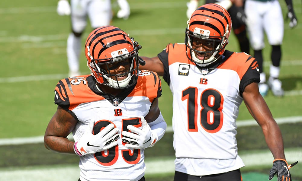 Tee Higgins: A Reincarnation Of AJ Green? - Dynasty League Football