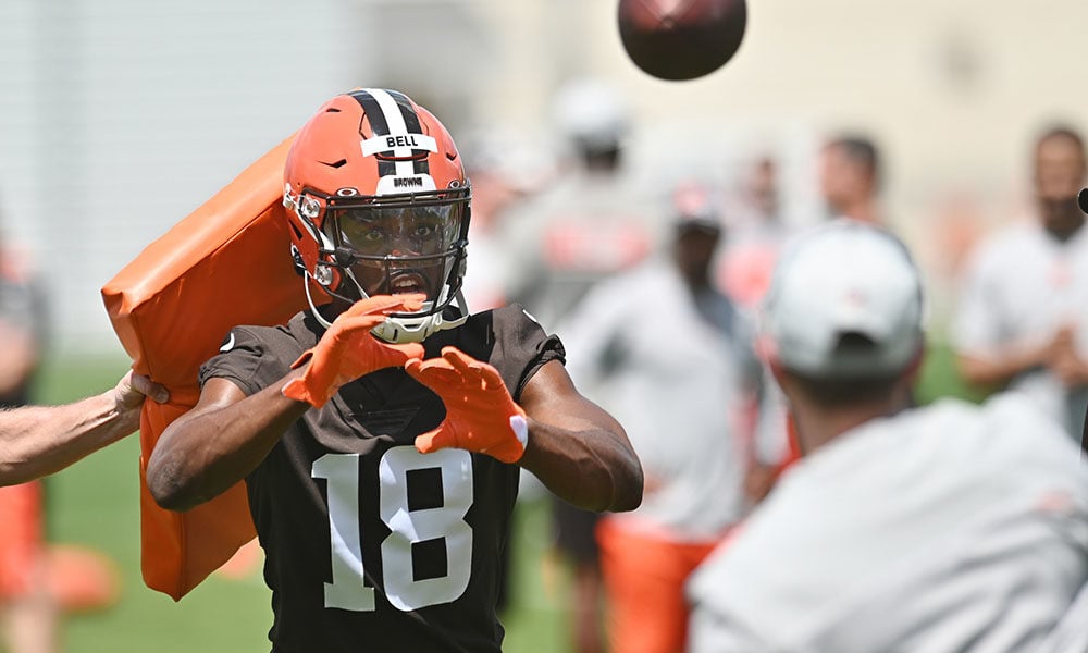 Dynasty Fantasy Football Rookie Rankings Faller: David Bell, WR