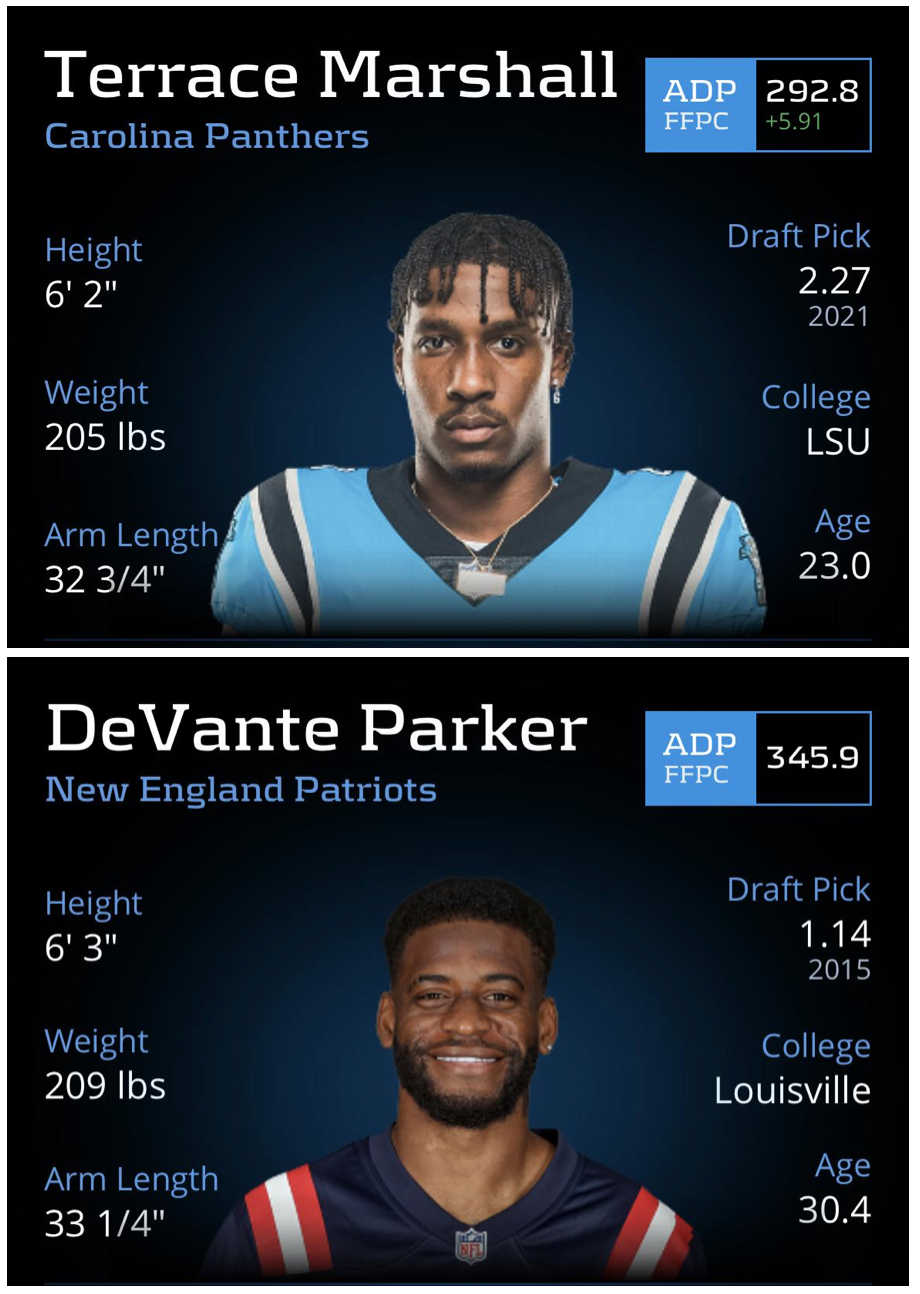 The Top Five Dynasty Assets on the Carolina Panthers - Dynasty League  Football