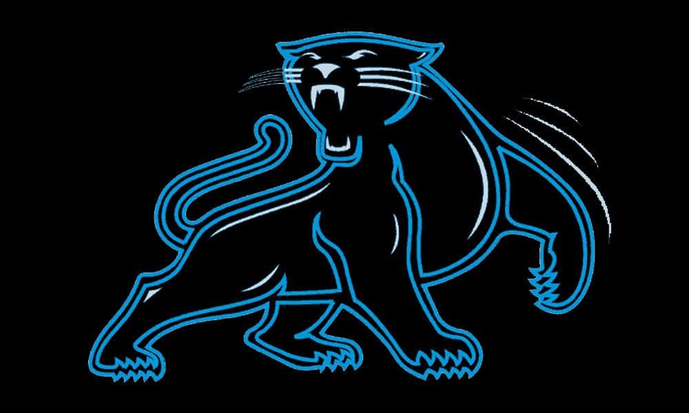 panthers 1